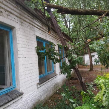 Сновщиною пройшовся буревій
