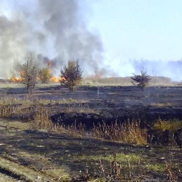 На Сновщині знову горять торфовища