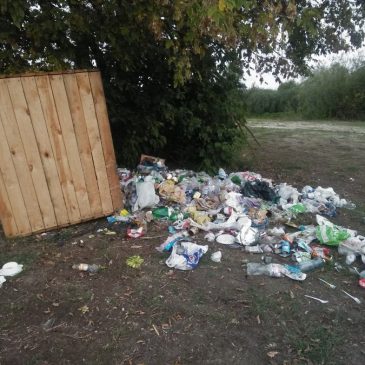Про сміття, яке розкидали на березі річки