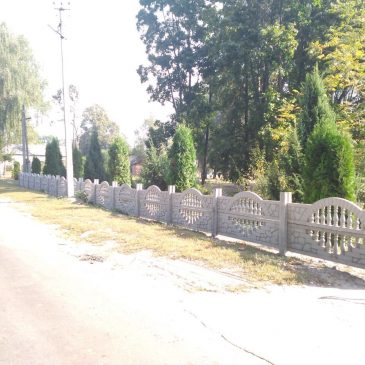 У Нових Боровичах