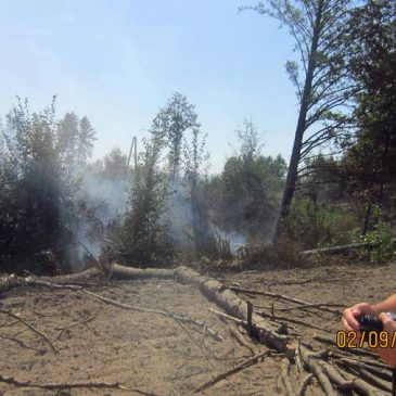Горять торфяники поблизу Зарічя та Смячі