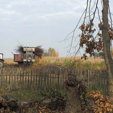 У селі Жовідь наслідки буревію прибирали гуртом