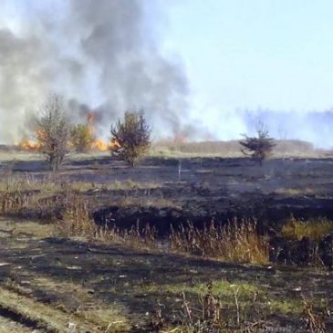 ОБЕРЕЖНО ПОВОДЬТЕСЯ З ВОГНЕМ, НЕ СПАЛЮЙТЕ СМІТТЯ та НЕ ПАЛІТЬ СУХУ РОСЛИННІСТЬ!