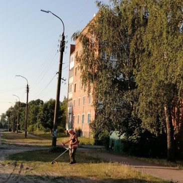 Будьмо господарями у нашому спільному домі!