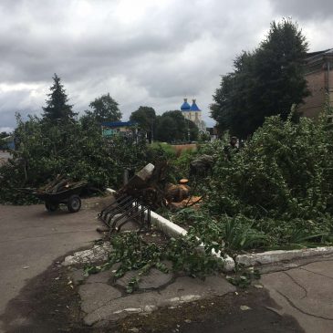 Сильний вітер на Сновщині пошкодив дахи, повалив дерева і обірвав лінії електромережі та зв’язку