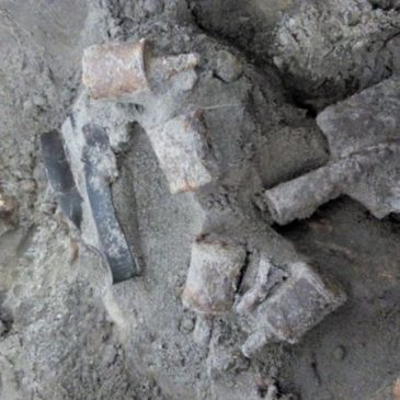 Перезахоронення загиблих у Другій світовій війні