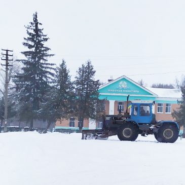 ЗНОВУ СНІГОПАД