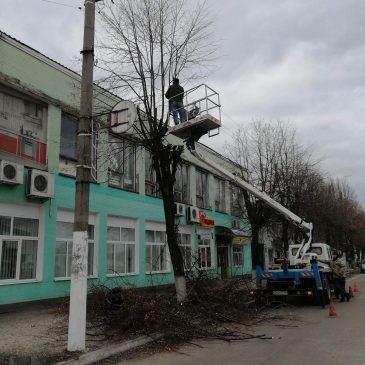 Проводиться обрізка дерев