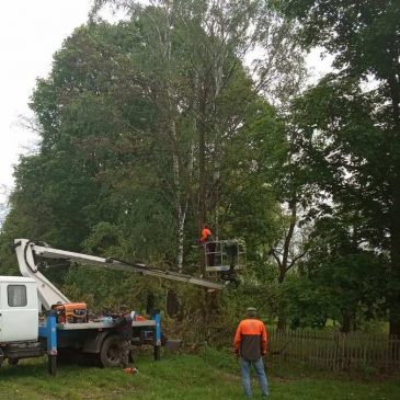 У Сновському видалені аварійні дерева