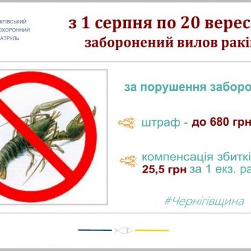 З 1 серпня 2021 року на Чернігівщині заборонено ловити раків, – Чернігівський рибоохоронний патруль