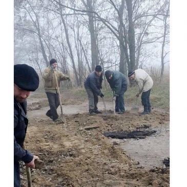 У Староборовицькому старостаті