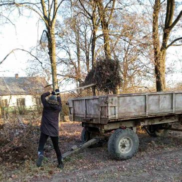 У Суничненському та Тихоновицькому старостатах