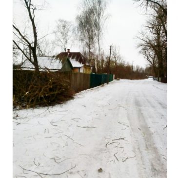 На Сновщині за рахунок суспільно-корисних робіт покращують благоустрій територій