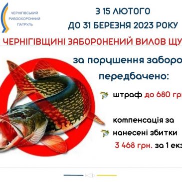 З 15 лютого 2023 року на Чернігівщині встановлено заборону на вилов щуки