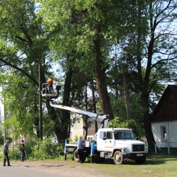 Триває видалення аварійних дерев та обрізування гілок на території Сновської громади