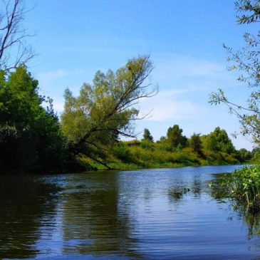 Збудника лептоспірозу у водоймах Сновська не виявлено