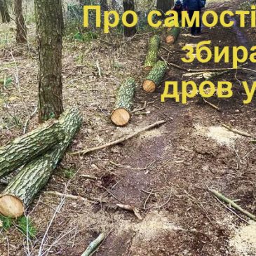 Самостійний збір населенням громади деревини паливної: що треба знати та куди звертатися