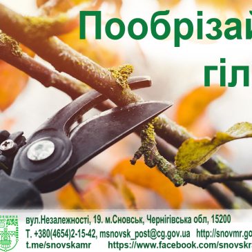 Пообрізайте гілки, які звисають над тротуарами та проїжджою частиною вулиці!