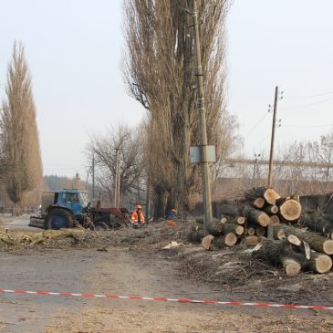 Щодо видалення аварійних дерев по вул.Залізничній у Сновську
