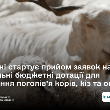 Дотації для утримання поголів’я корів, кіз та/або овець