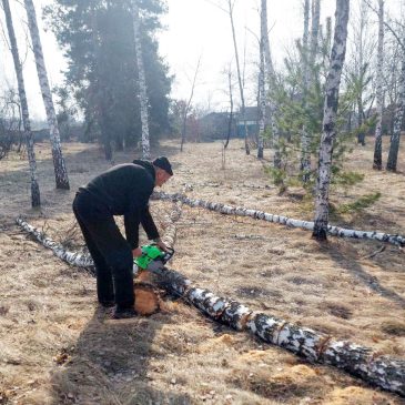 У Займищі розчистили сільський парк від старих берез