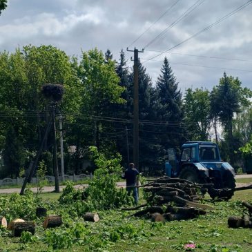 У Нових Боровичах разом з КП “Сновська ЖЕД” видаляли аварійні дерева