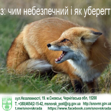 На Сновщині у цьому році зареєстровано 15 звернень щодо укусу тварин 