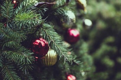 КОШТИ З БЮДЖЕТУ ГРОМАДИ У 2025 РОЦІ НА НОВОРІЧНУ ЯЛИНКУ НЕ ВИТРАЧАТИМУТЬСЯ!