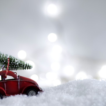 Ялинка на свята: яка відповідальність за незаконний зруб