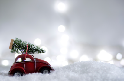 Ялинка на свята: яка відповідальність за незаконний зруб