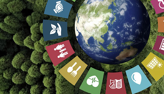 ЮНІДО та японська компанія Index Strategy запрошують українських партнерів до пілотного проєкту у сфері відновлюваної енергетики