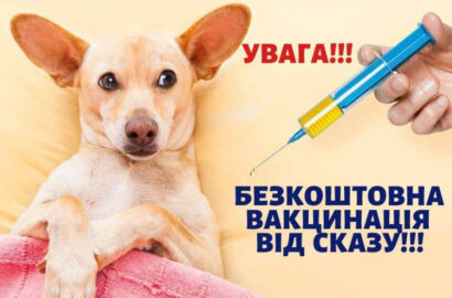 Щорічне щеплення домашніх тварин – дієвий засіб профілактики сказу