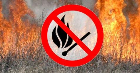 НЕ СПАЛЮЙТЕ СУХУ ТРАВУ ТА ЛИСТЯ — БЕРЕЖІТЬ ПРИРОДУ ТА ВЛАСНЕ ЗДОРОВ’Я!