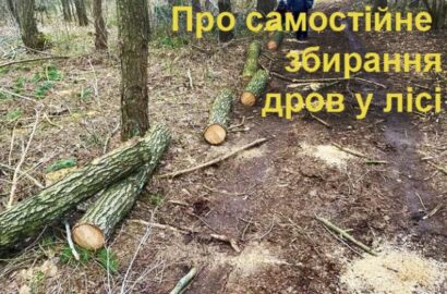 Самостійний збір населенням громади деревини паливної: що треба знати та куди звертатися