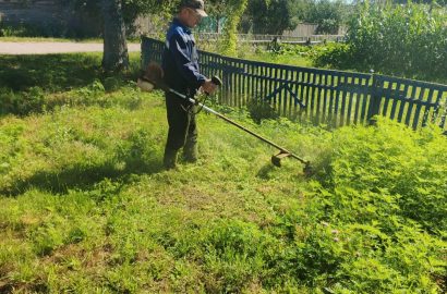 У Сновській громаді триває боротьба з амброзією