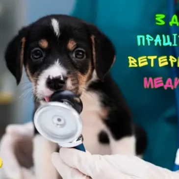 З Днем працівників ветеринарної медицини!