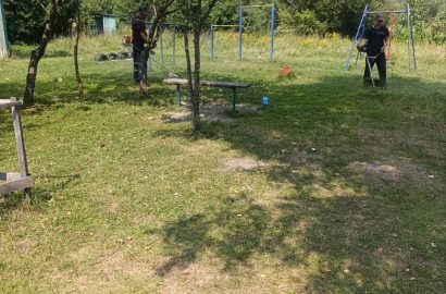 У Сновську триває боротьба з амброзією