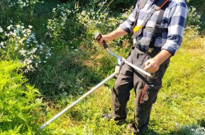 У Сновській громаді продовжується боротьба з амброзією полинолистою
