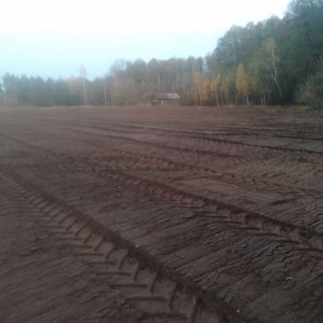 На центральному кладовищі Сновська проведено роботи з підготовки нової території